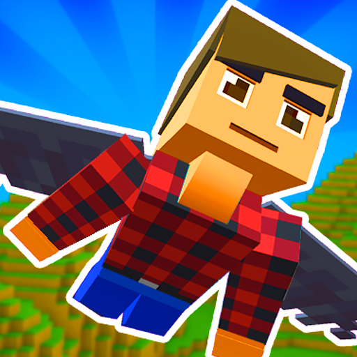 Elytra Flight Cover